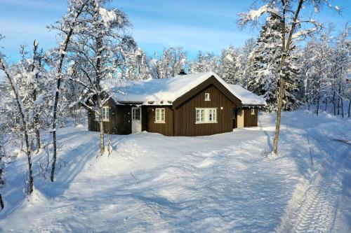 Modern Comforts, and Ski Access