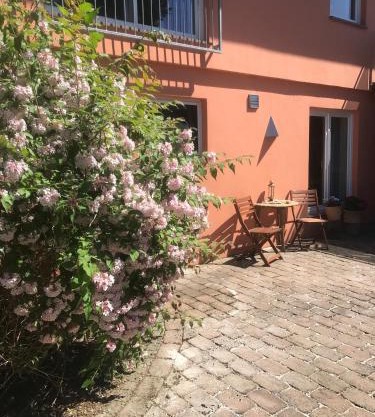 Moderne großzügige Souterrainwohnung Zarrentin Gallin Schaalsee Natur Wald Wasser