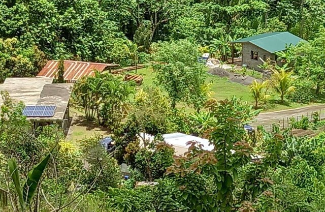 Mountain Cottage surrounded by the native birds, the Amazona Guildingii