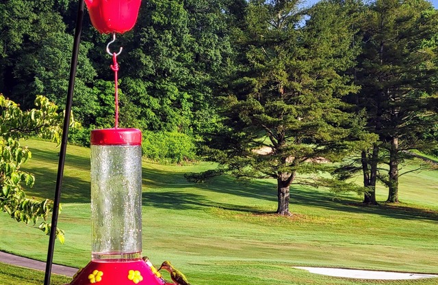 Mountain View Townhouse Burnsville - Mount Mitchell, Hiking, Waterfalls
