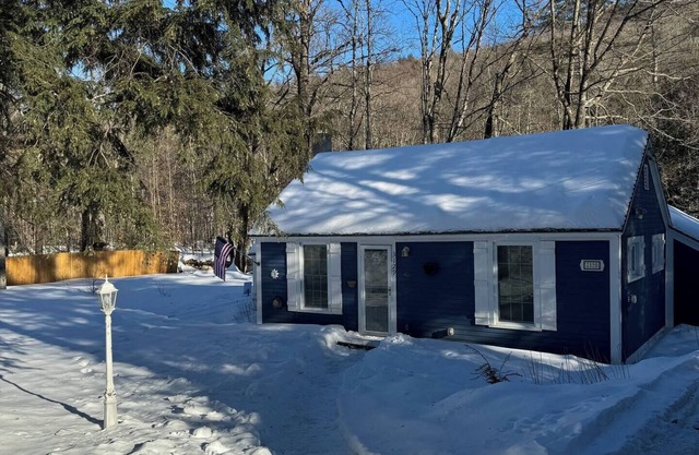 Mt Snow/Stratton Ski Cottage w/scenic water views