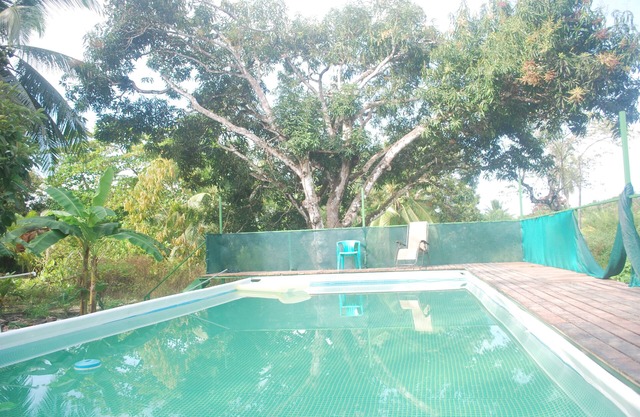 Nacho's House/ Tico Experience on Isla Damas