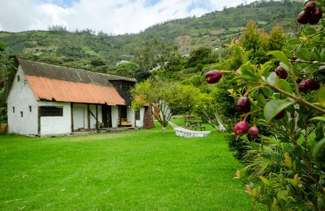 Natural Garden Glamping