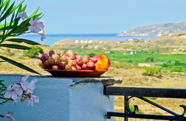 Estudio agroturístico de Naxos en un pueblo tranquilo