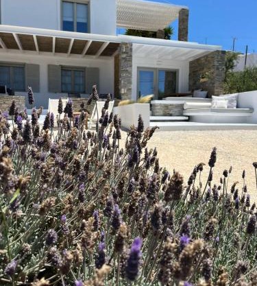 Neso seafront studio Paros