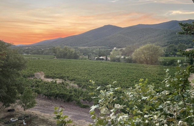 Nest close to the beaches in the heart of the Massif des Maures