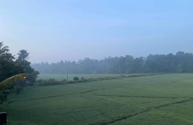 Nestled into a quiet comfy paradise! Just 12km from Katunayake Intl. Airport.