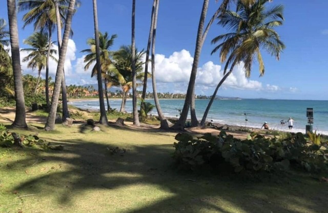 4BR Private home w/Golf Cart+Outdoor Bar+Plunge Pool at Palmas del Mar