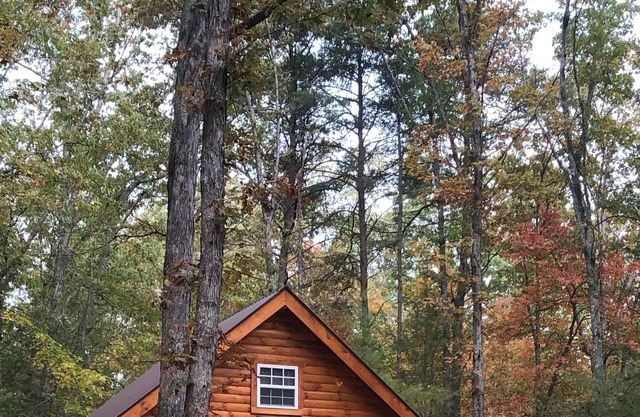 New Cozy Cabin In The Woods