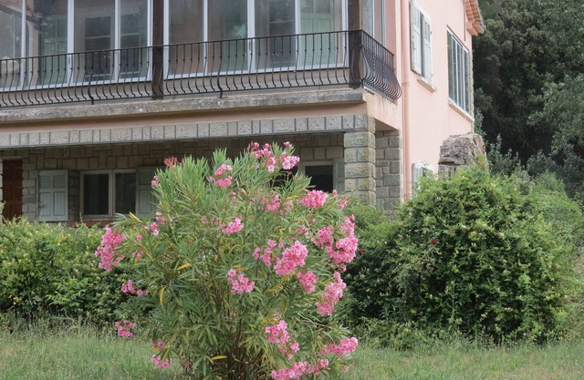 NUEVO EGLANTINE STUDIO GITE