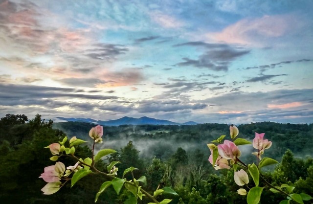 NEW! Epic mountain view, 24 minutes to Downtown Asheville, NC