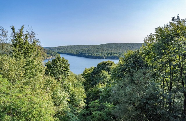 New! Viva Vista: Lake Access, Hot Tub, Dogs OK!