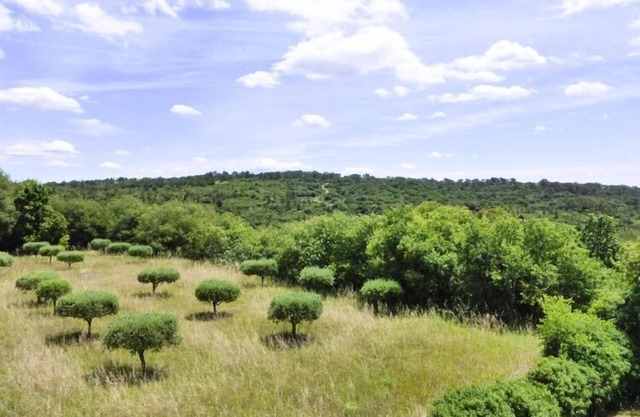 Casa de vacaciones en Arpaillargues-et-Aureillac
