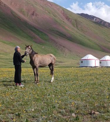 Nice Yurt Camp