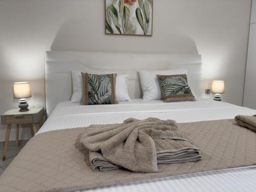 Nikolet apt 2