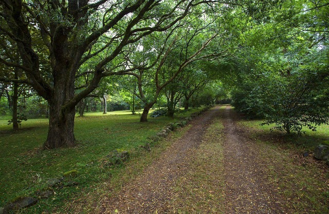 Monte Tomah The Woodlands Retiro