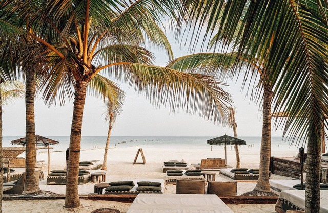 Nomade Holbox