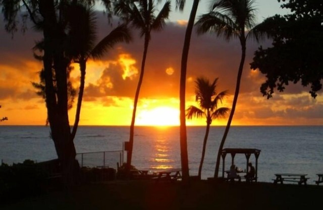 North Shore Beachfront Condominium * 5 noches como mínimo, pero un período de alquiler de 30 días