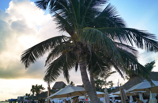 Ocean Front Boutique