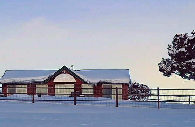 Off The Grid Cabin con Elk Herd (y burros y caballos)