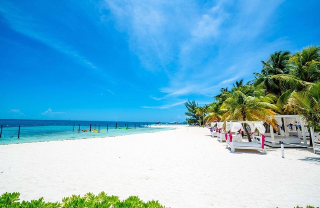 Oh! Cancun The Urban Oasis & Beach Club