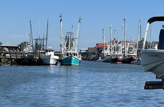 Pueblo Viejo Mt. Agradable / Pitt Street Bridge / Ocean Walk!