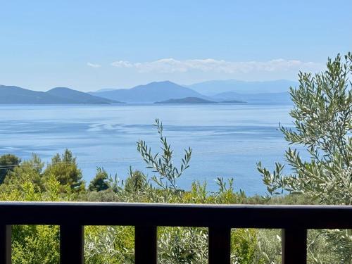 Olive Grove House