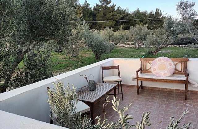 Olive & Home
