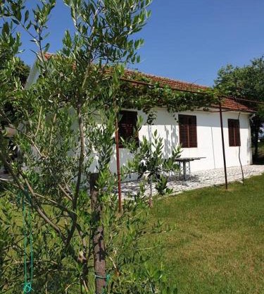 Olive house (near the airport)