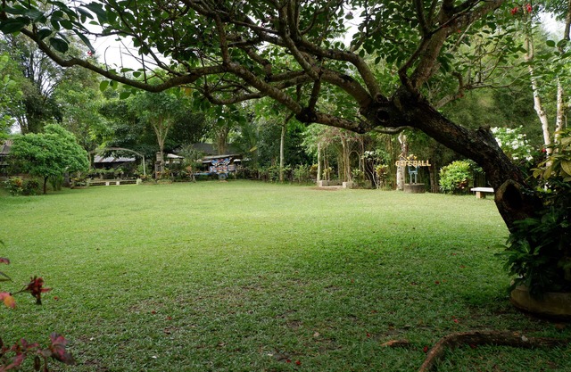Omah Kebon Guest House