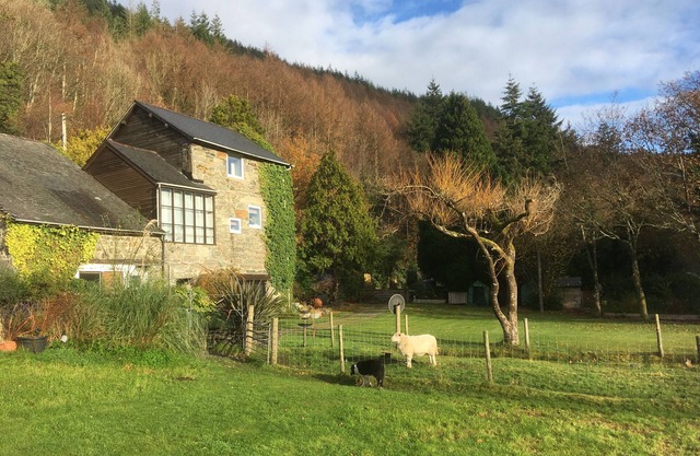 En el estuario de Mawddach, Snowdonia admite mascotas Certificado de excelencia Tripadvisor