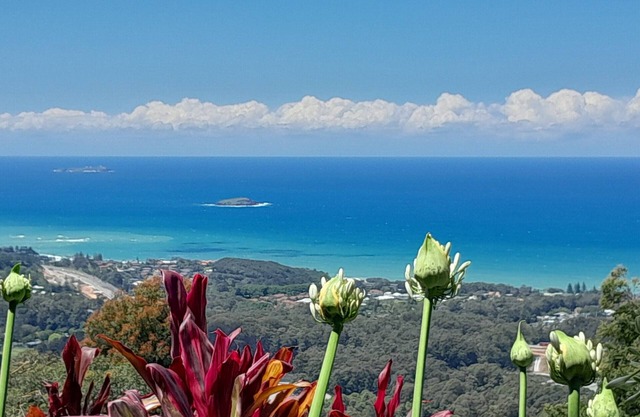 ON TOP OF THE WORLD Garden Studio Panoramic Ocean Views, Close to Town & Beaches