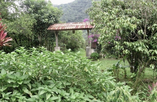 One Bedroom Cabin On Two Hundred Acres en Costa Rica