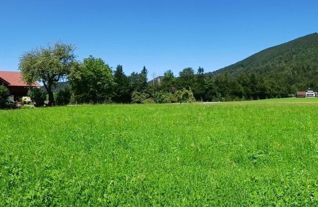 Organic Farm Vordergschwandtgut - Apartamento