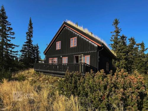 Original Olympic cabin ski in out Hafjell