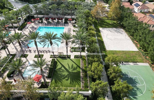 Outdoor Paradise on Cordial #7341