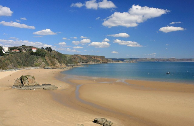Palace Park, Manorbier