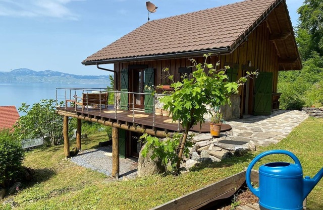 Panoramic lake view chalet