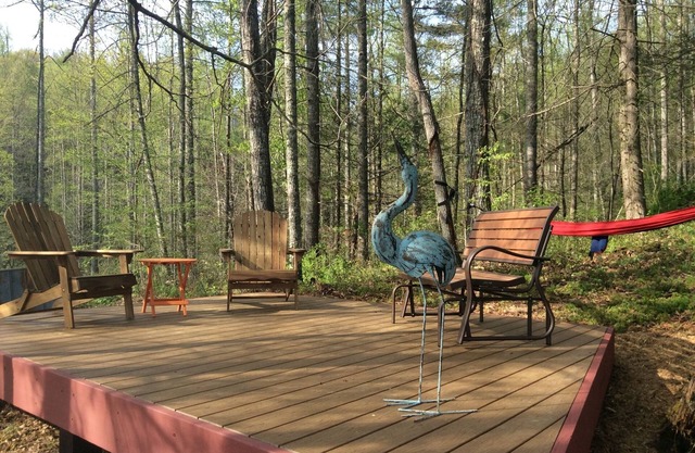 Tranquila cabaña moderna de retiro de montaña cerca de Asheville, vista al río y acceso