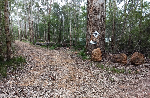Peaceful relaxing Getaway in Karri Forest bordering a Nature Reserve.