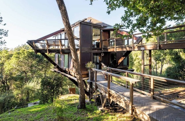 Pacífica casa del árbol con vista al mar