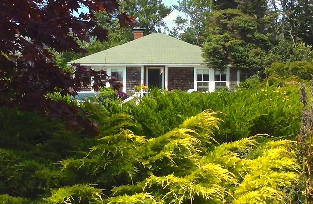 Pemaquid Point Cliff Rd. 3B / 1B Cottage-Chimenea-Pasos para Lighthouse-Pets-1300 / wk