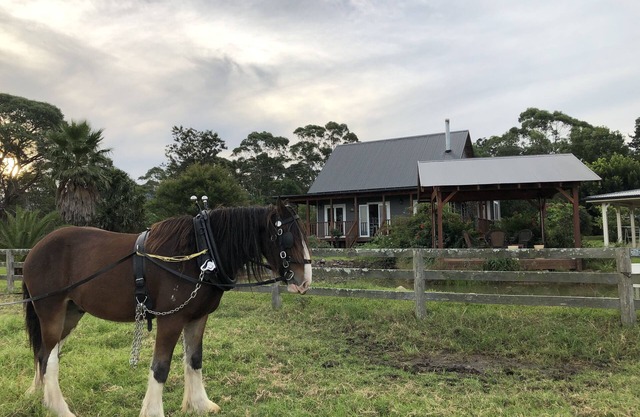 Peppergrove Cottage - Berry's Premier Farm Stay