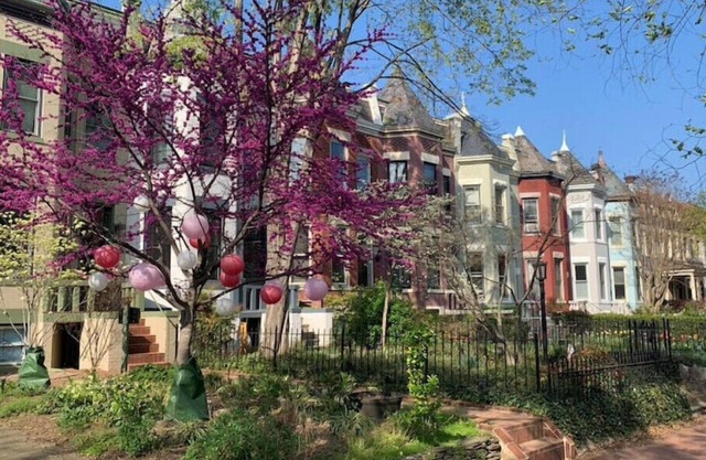 Perfect Location in Capitol Hill