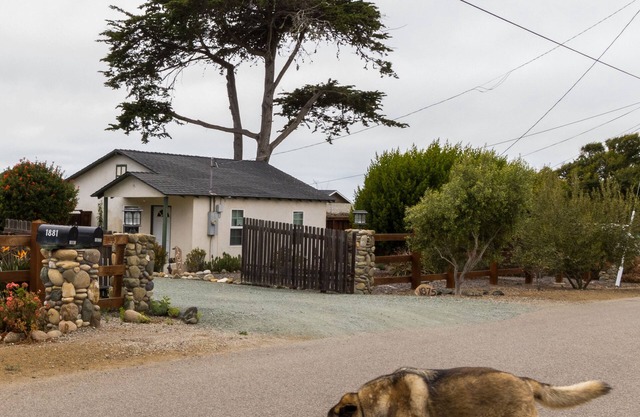 Se admiten mascotas Cottage / perros son bienvenidos