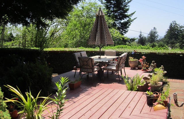 Se admiten mascotas, casa privada con jardín como patio y pequeño pico del océano!