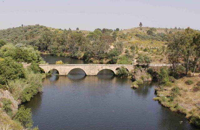 Pétalos del Tajo - CASA XARA