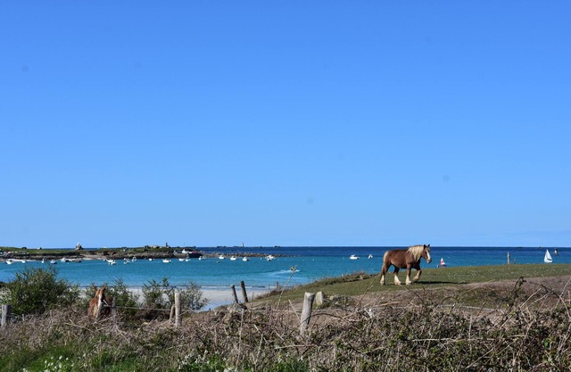 Petite Maison Ancienne Récemment Rénovée à Proximité des Plages et du Gr34