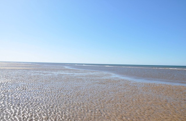Pets Stay Free 3 Bedroom Caravan at Heacham Beach
