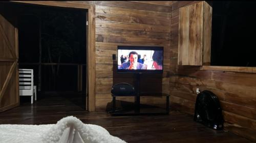Picki's Cabin